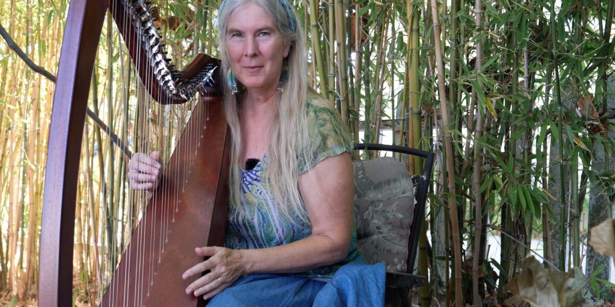 Shelley Phillips, Harpist, Oboe, Flutist, Celtic Music Camps, Santa Cruz Community Music School, Gourd Music artist