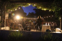 Summer Live Concert Series